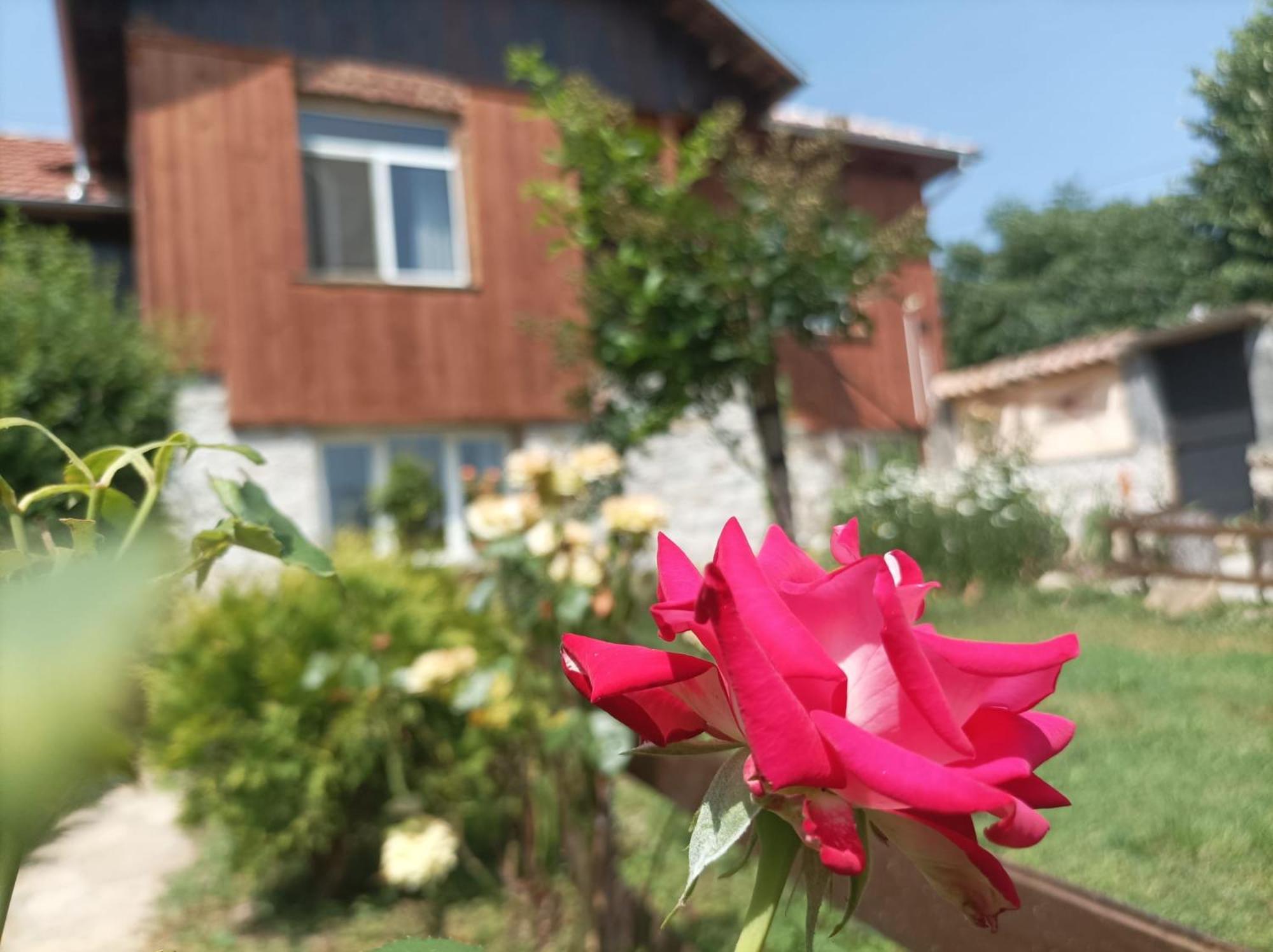 Villa Nina In Kramolin Esterno foto